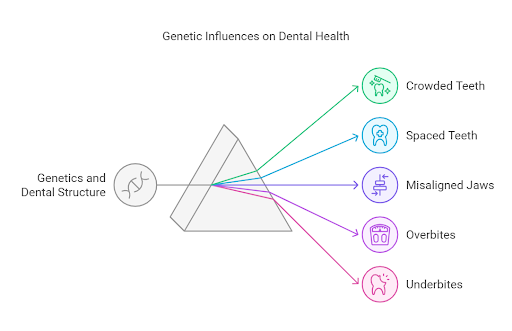 Genetic influence on dental health - dental excellence